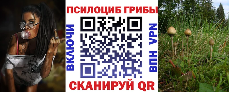 кракен ссылки  Аткарск  Псилоцибиновые грибы ЛСД 